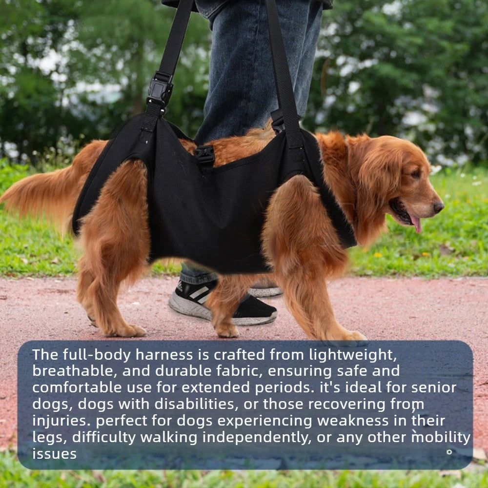 Full Body Recovery Suit For Dogs With Soft Grip Straps