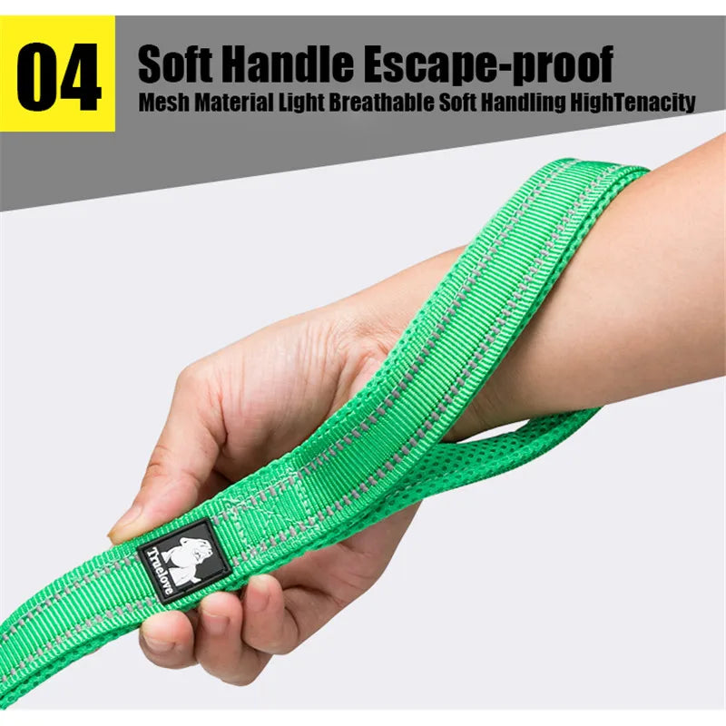 TRUELOVE Soft Reflective Nylon Leash With Padded Mesh