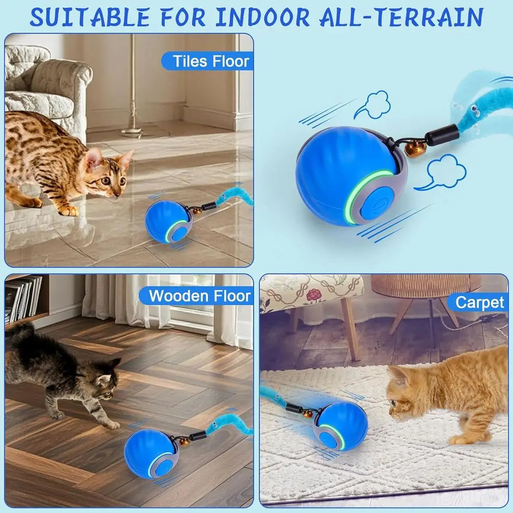 Interactive Cat Toy Ball For Indoor Cats With 3 Tails And 2 Speeds Rechargeable