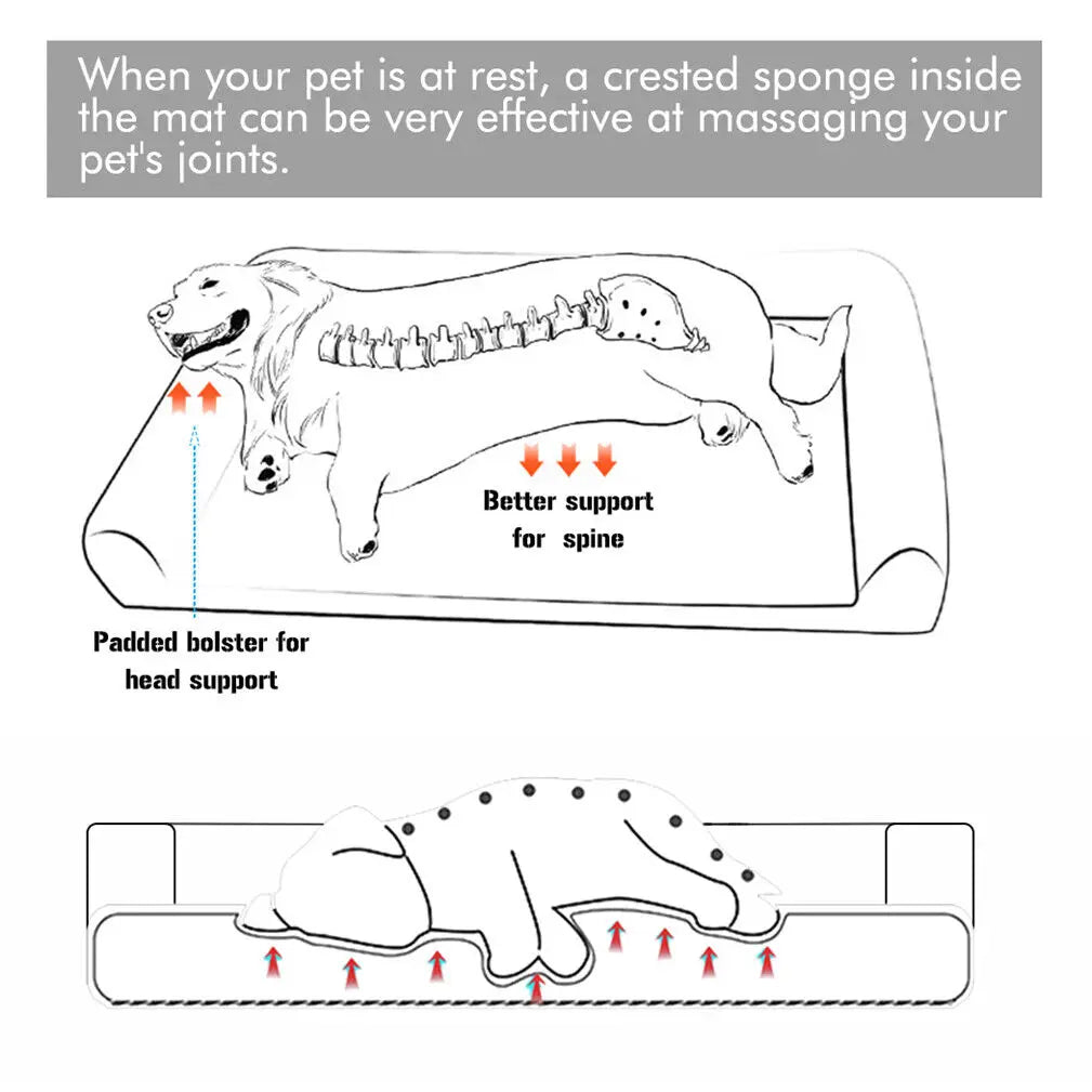BINGOPAW Orthopedic Dog Bed With Removable Washable Cover And Foam