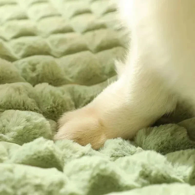 Orthopedic Memory Foam Dog Bed With Removable Cover Machine Washable