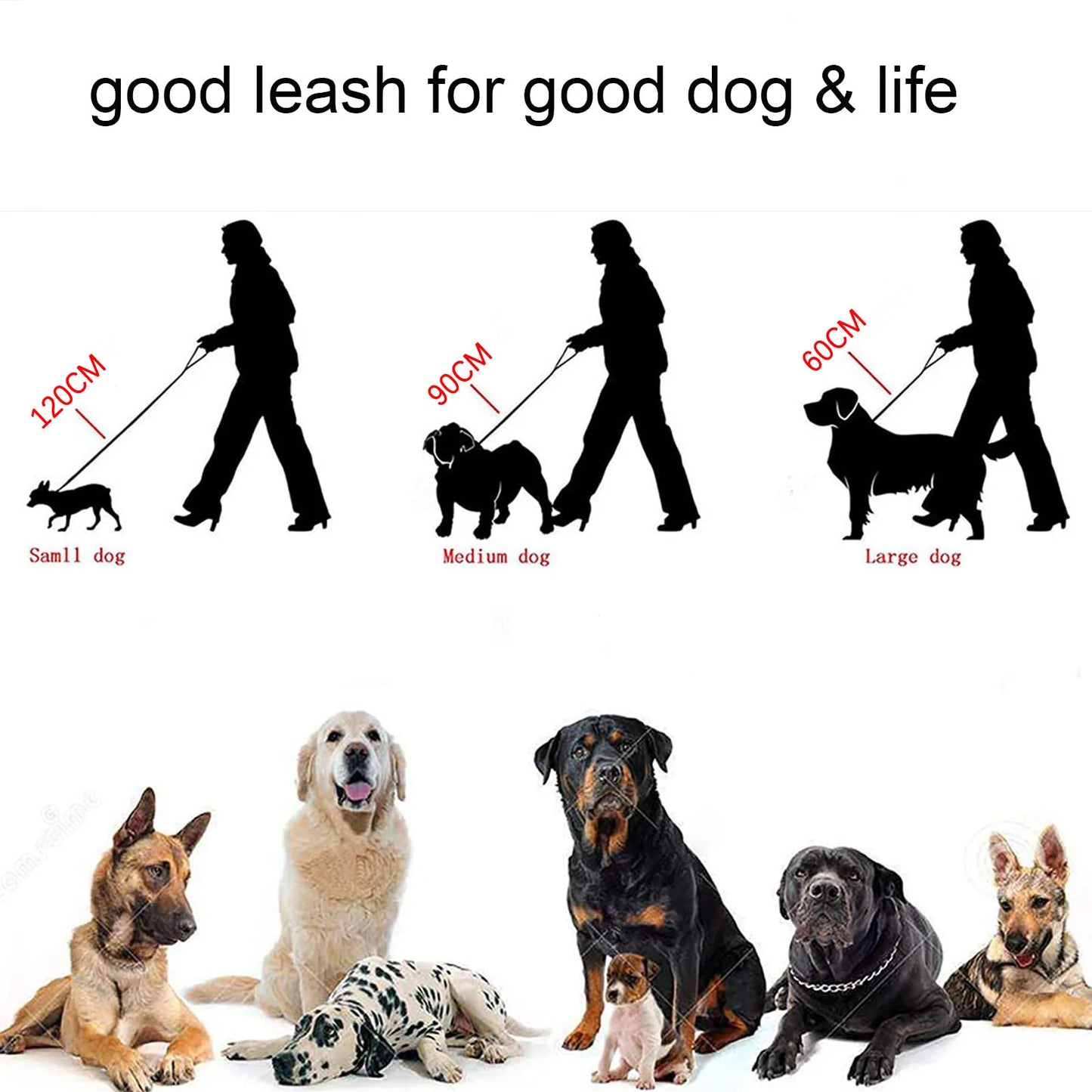 DUTRIEUX 10mm Stainless Steel Chain Dog Leash Chew Proof Leather Padded Handle