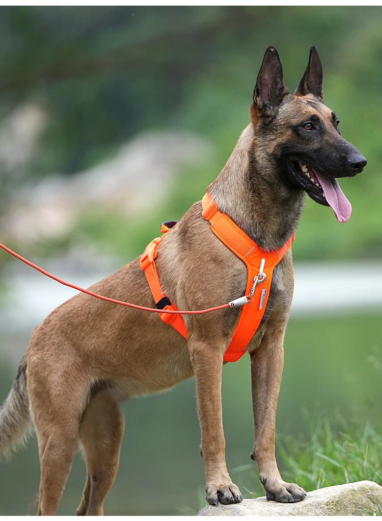 Small Combination Dog Harness No Pull Reflective Vest