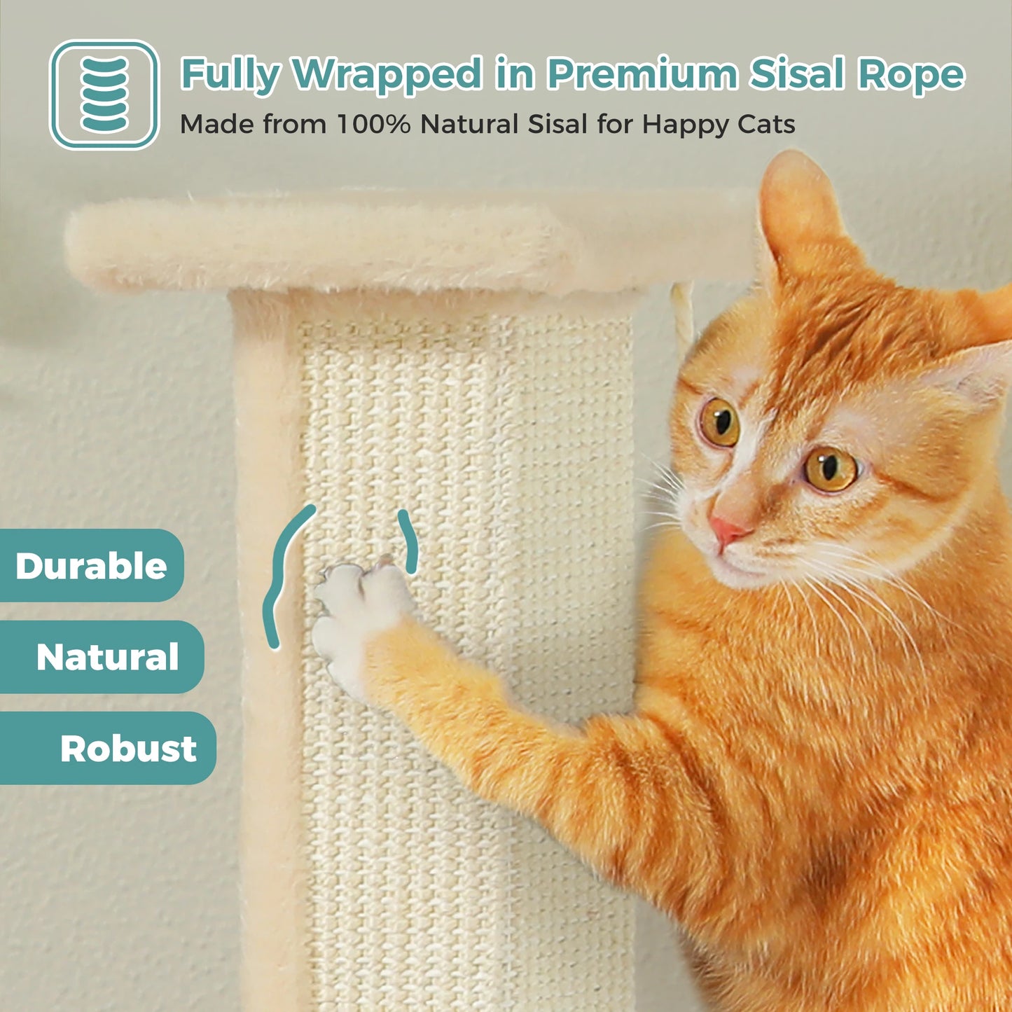 PAWZ Road Indoor Cat Scratching Post With Dangling Sisal Ball