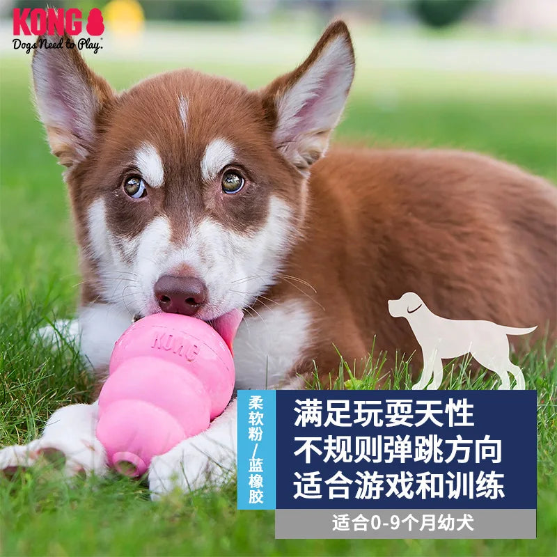 Small Dog Chew Toy Stuffable Rubber Treat With Bounce