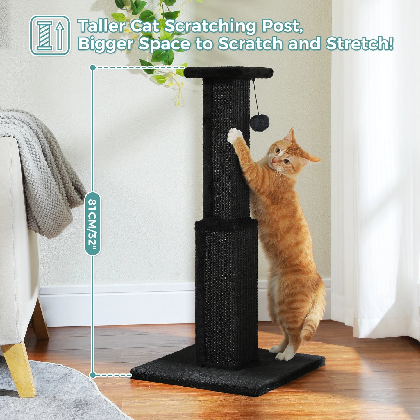PAWZ Road Cat Scratching Post Indoor Cats With Woven Sisal Ball