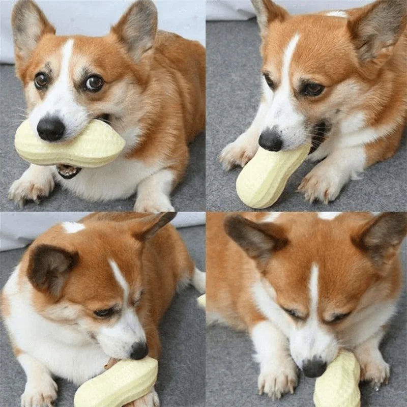 Peanut Squeaky Dog Chew Toy For Dental Health And Teeth Cleaning