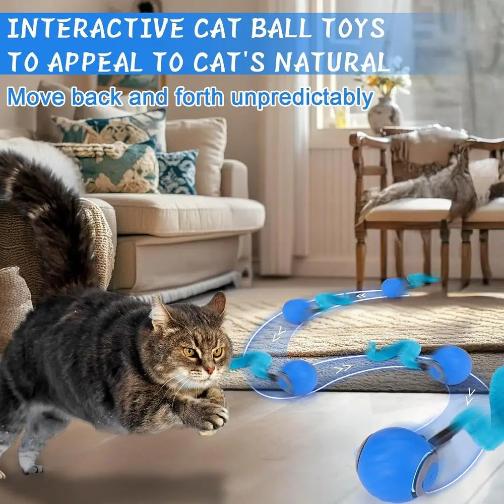 Interactive Cat Toy Ball Automatic Enrichment For Indoor Cats Rechargeable