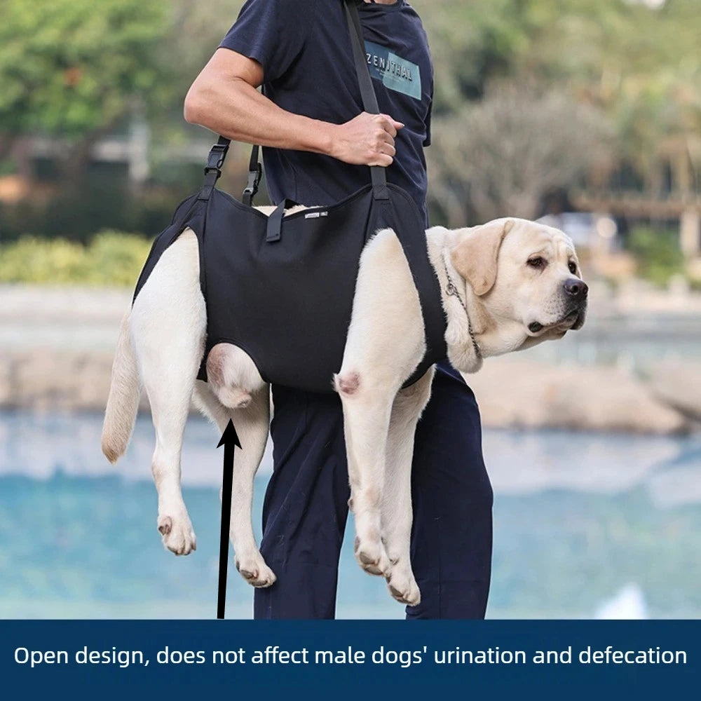 Full Body Support Recovery Suit For Dogs With Hip Dysplasia