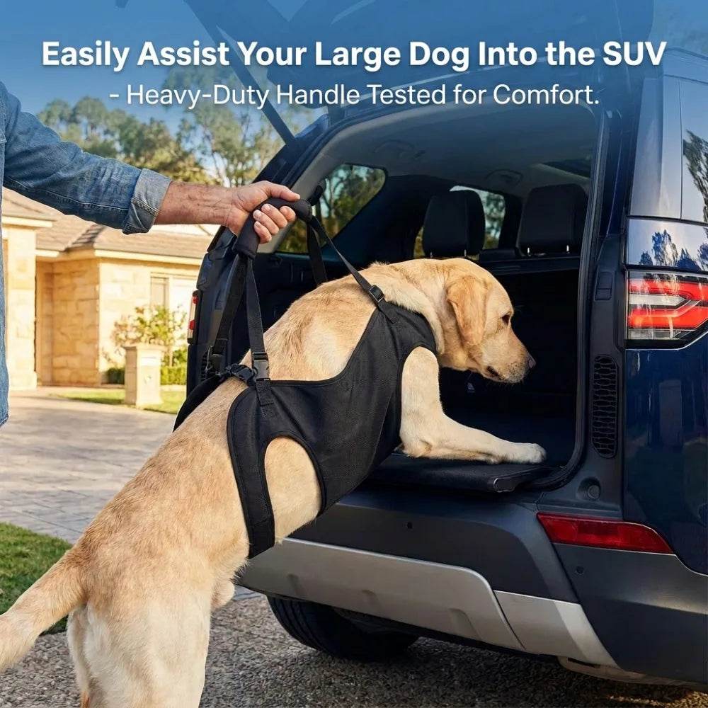 Full Body Support Recovery Suit For Dogs With Hip Dysplasia