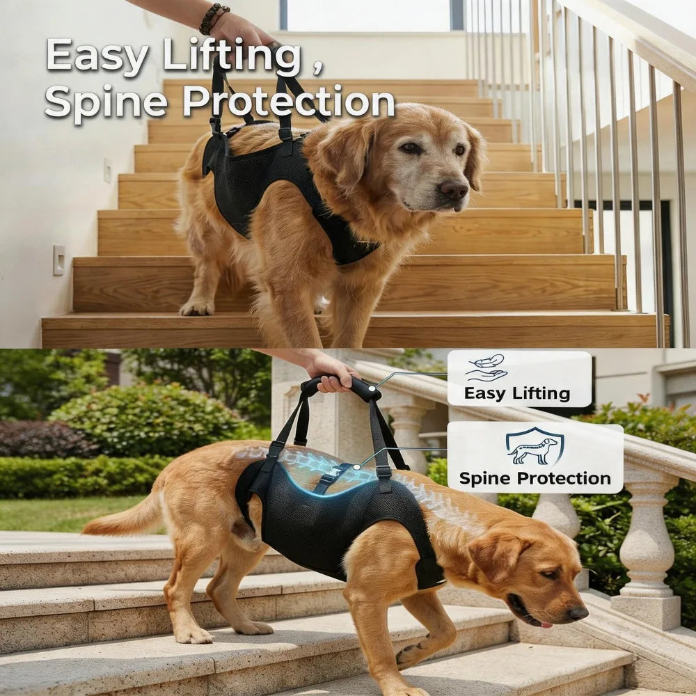 Full Body Recovery Suit For Dogs With Soft Grip Straps