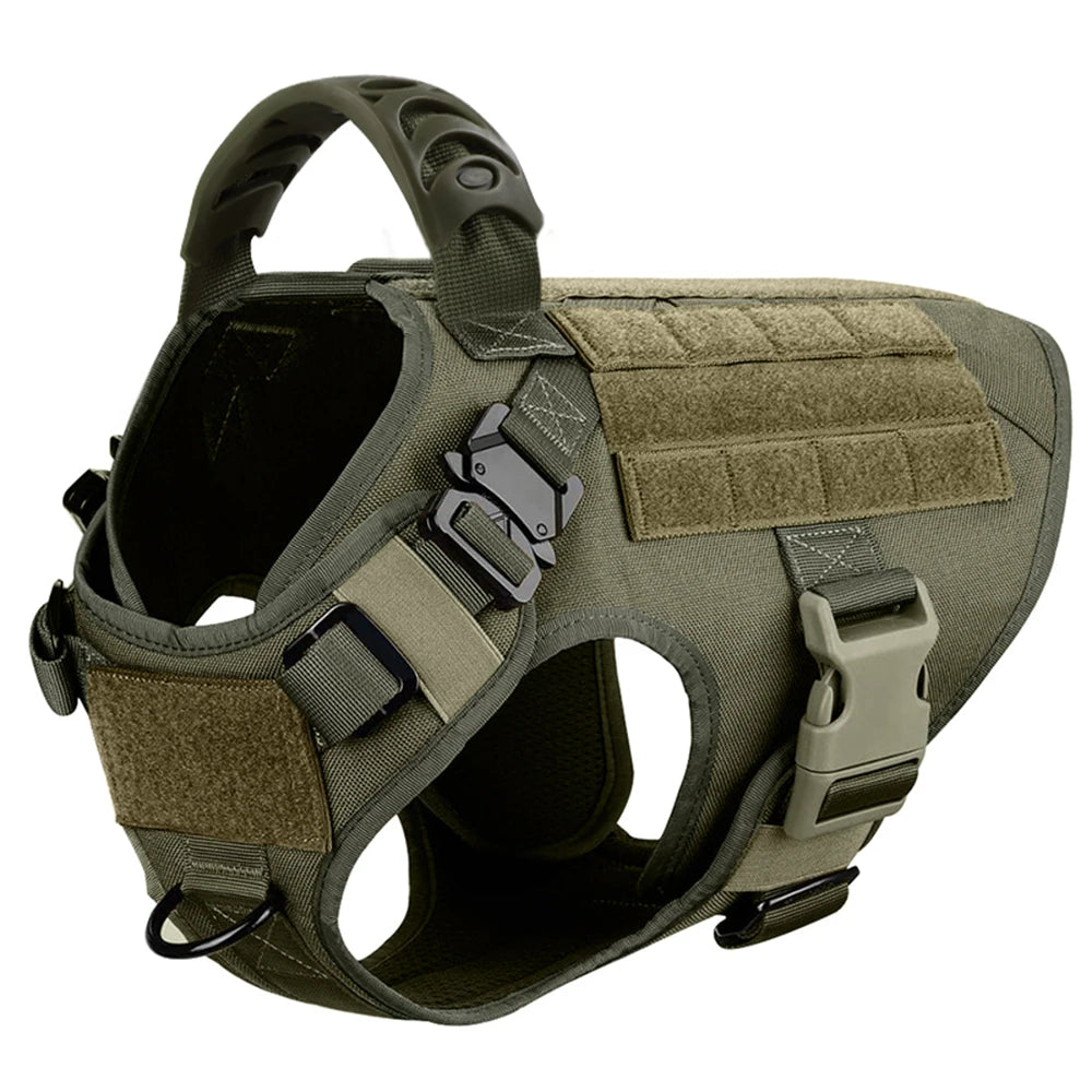 Padded Breakaway Buckle Dog Harness And Leash Set For Training