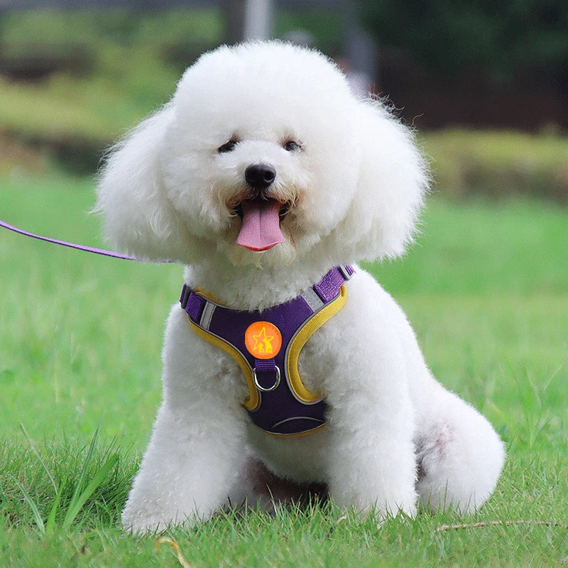 Nylon Reflective Dog Harness Vest Soft Mesh For Walking And Traction Rope