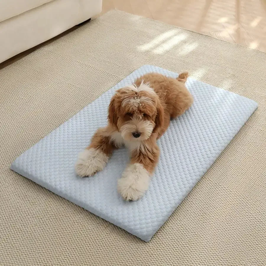Cooling Cat Bed With Thick Padding Breathable Non Slip Washable