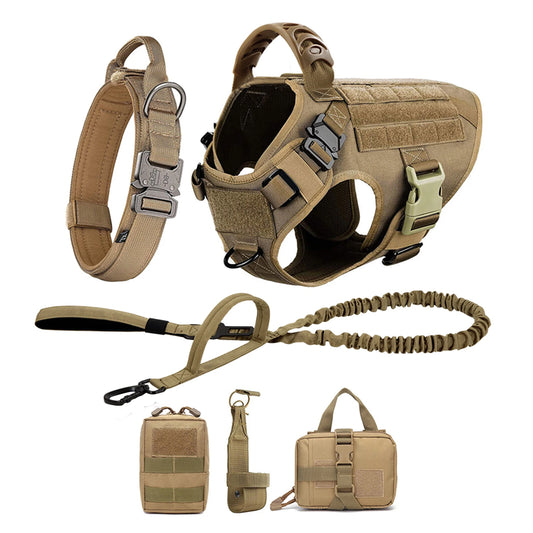Nylon Dog Harness And Leash Set For Training And Walking