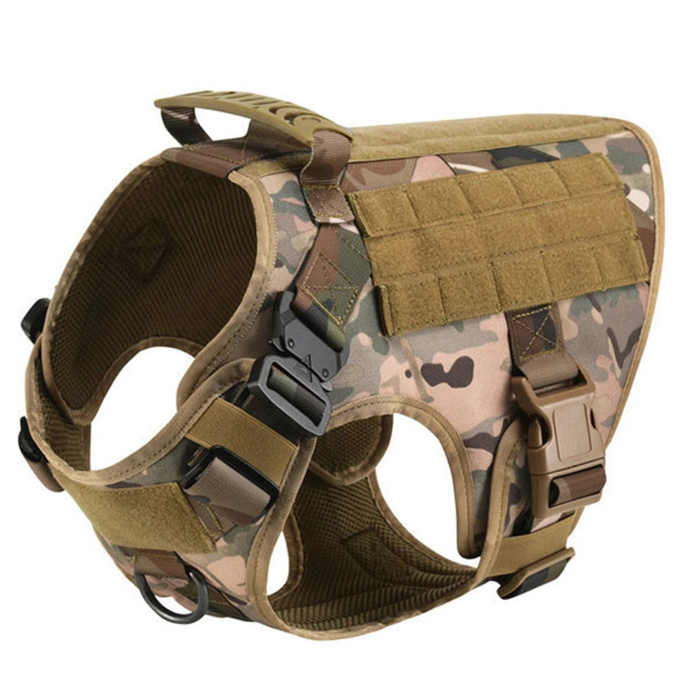 Nylon Dog Harness And Leash Set For Training And Walking
