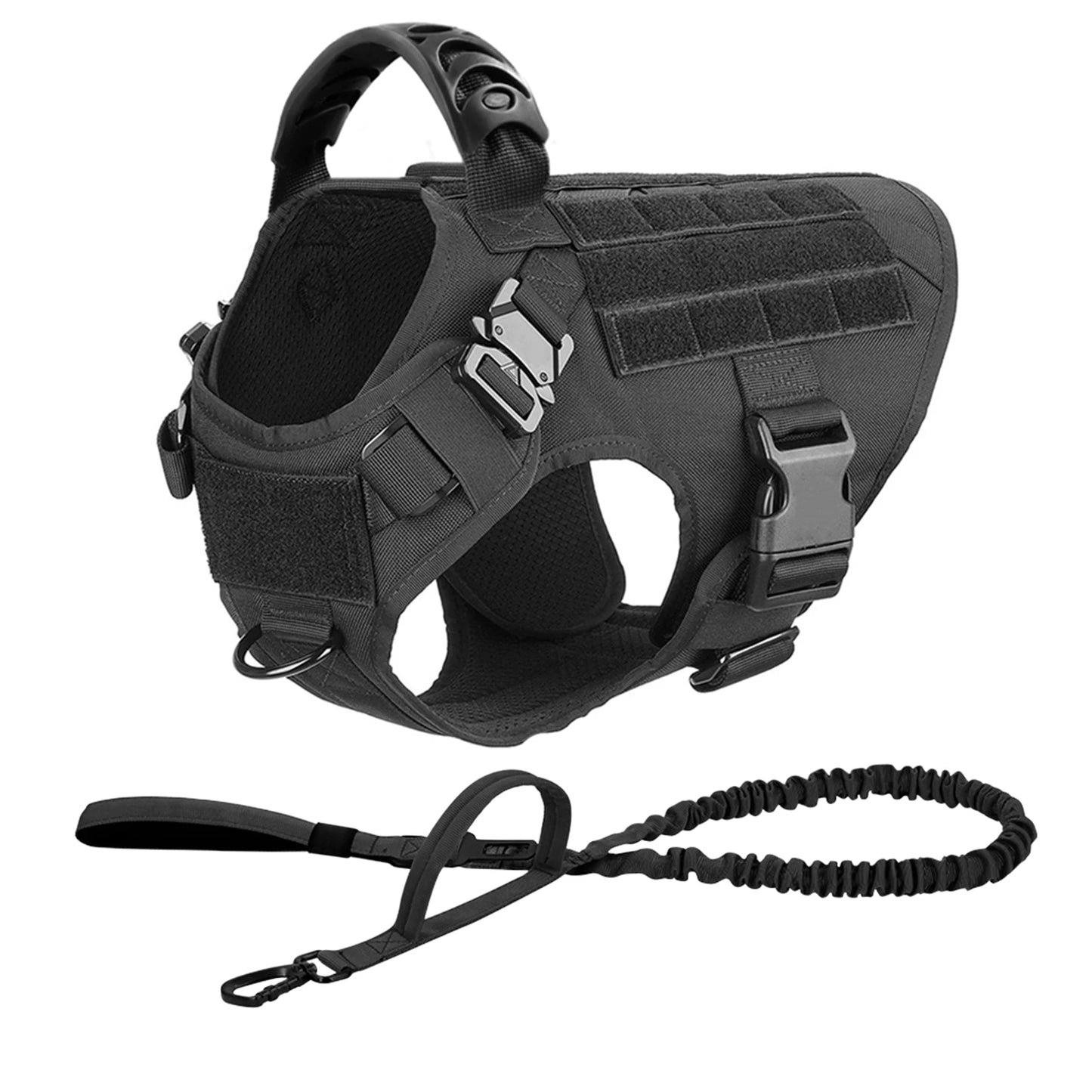 Nylon Dog Harness And Leash Set For Training And Walking