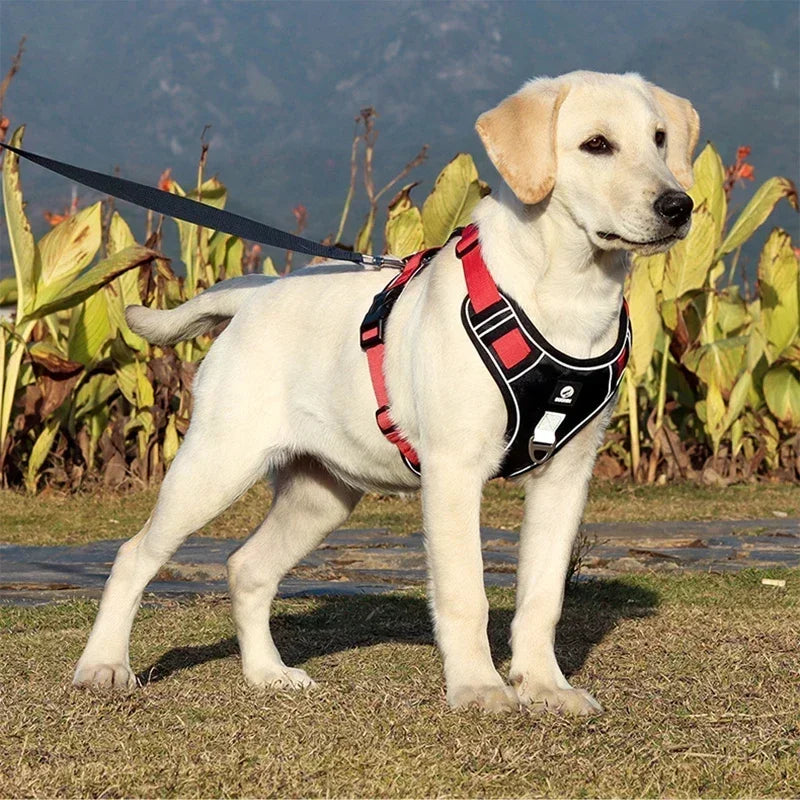 ABQP Reflective Dog Harness Adjustable Training Vest Shock Harnesses