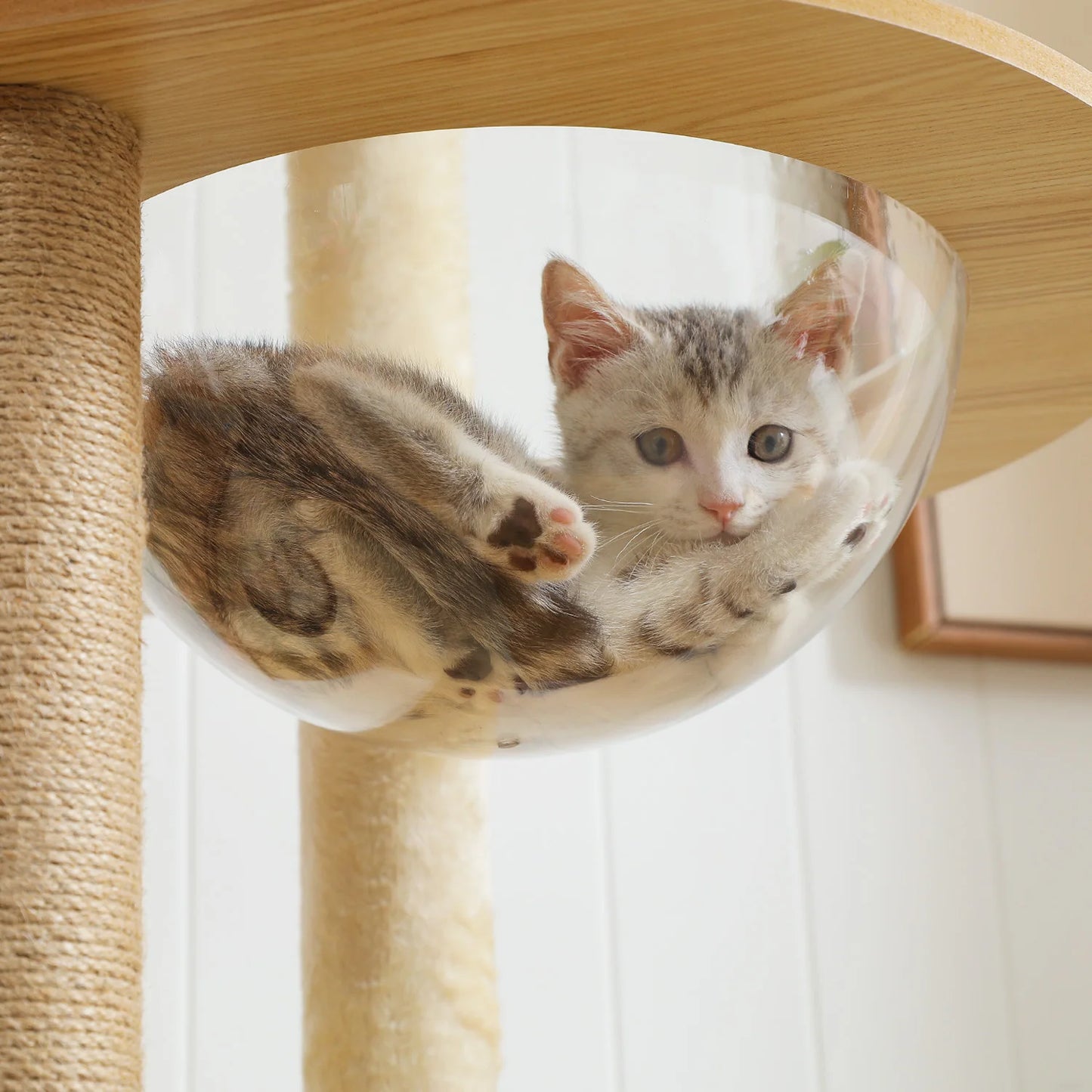 PAWZ Ro Multilevel Cat Tree With Scratching Posts And Toys