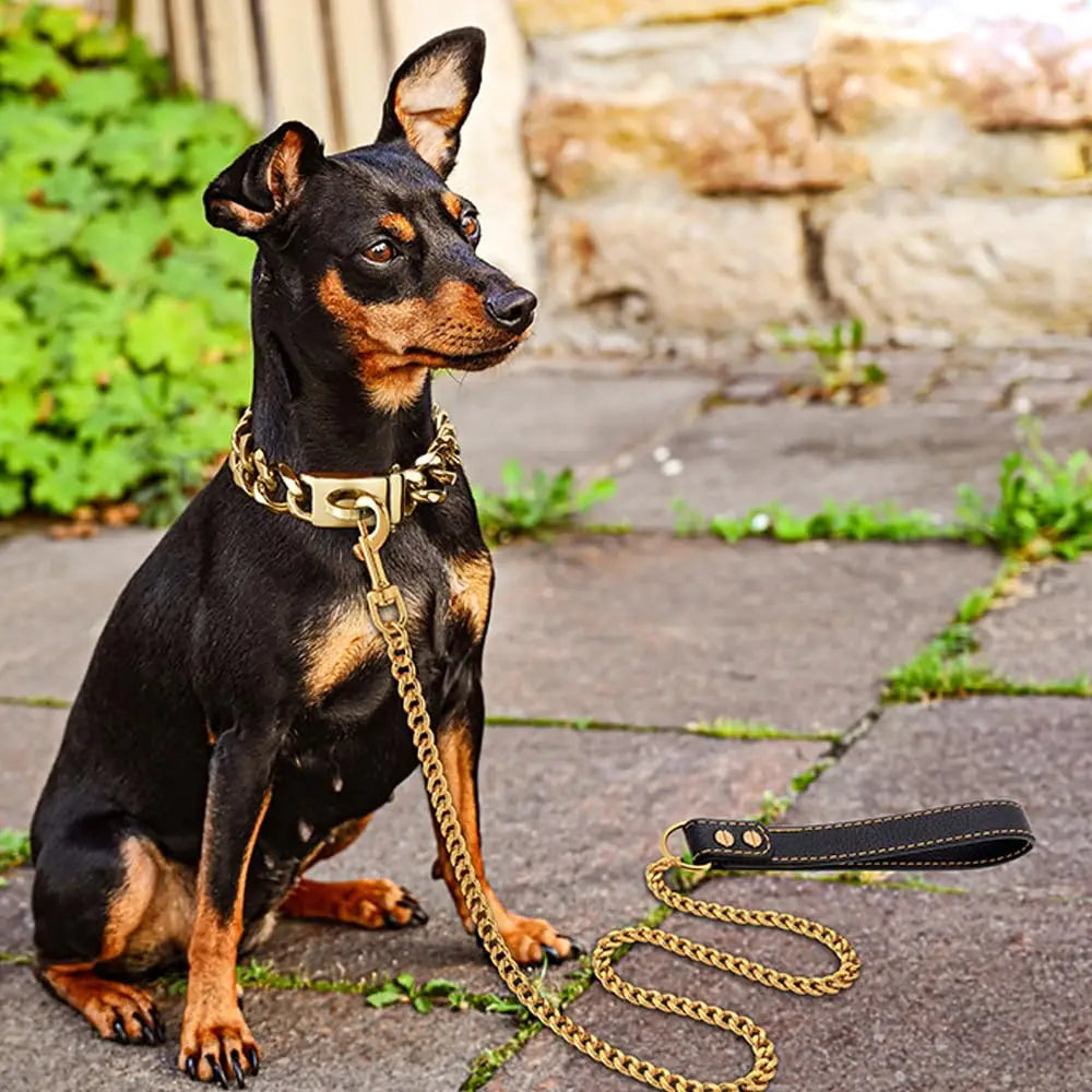 DUTRIEUX 10mm Stainless Steel Chain Dog Leash Chew Proof Leather Padded Handle
