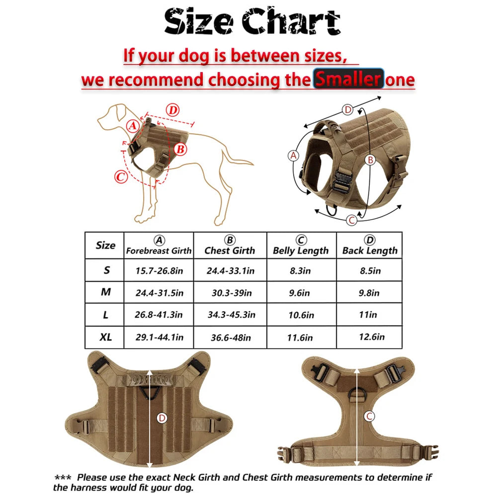 Padded Breakaway Buckle Dog Harness And Leash Set For Training