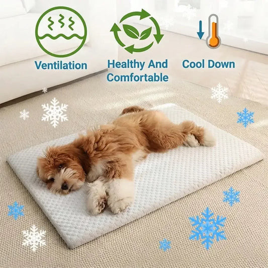 Cooling Cat Bed With Thick Padding Breathable Non Slip Washable