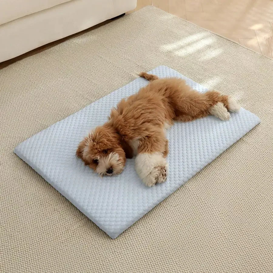 Cooling Cat Bed With Thick Padding Breathable Non Slip Washable