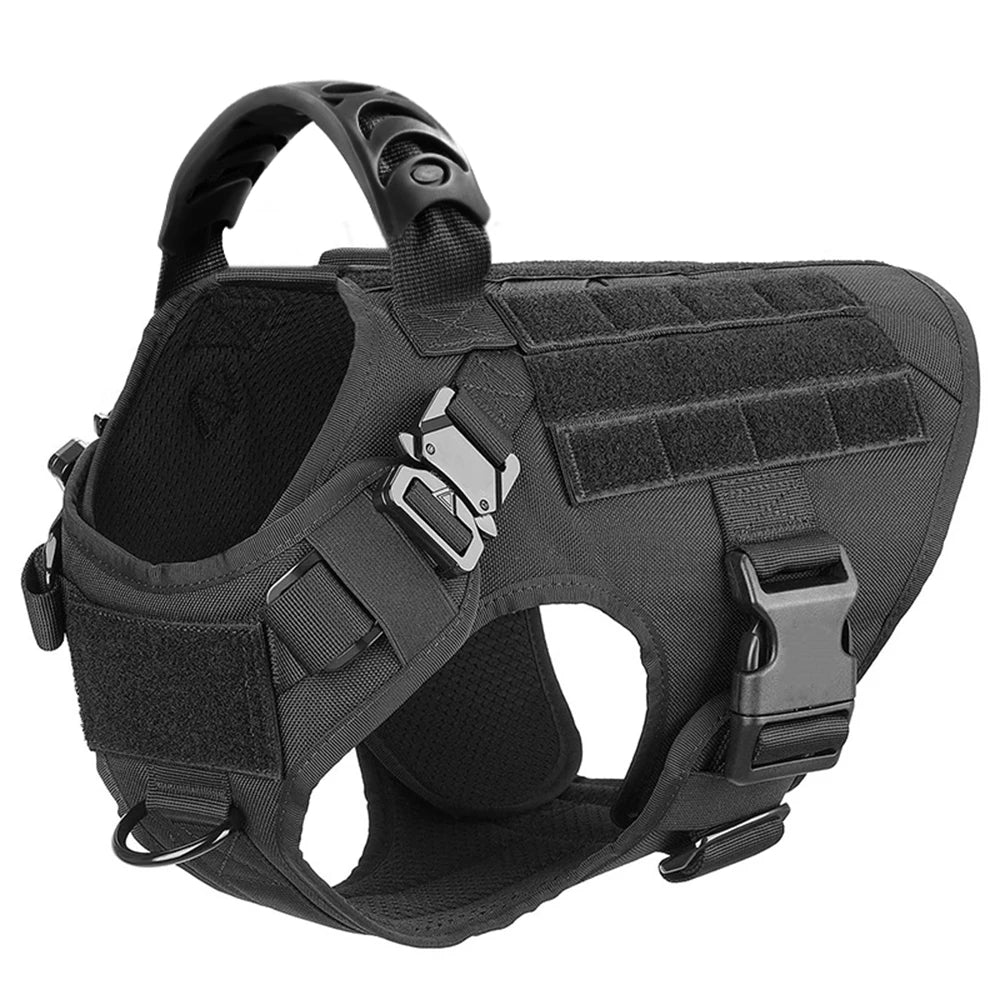 Nylon Dog Harness And Leash Set For Training And Walking