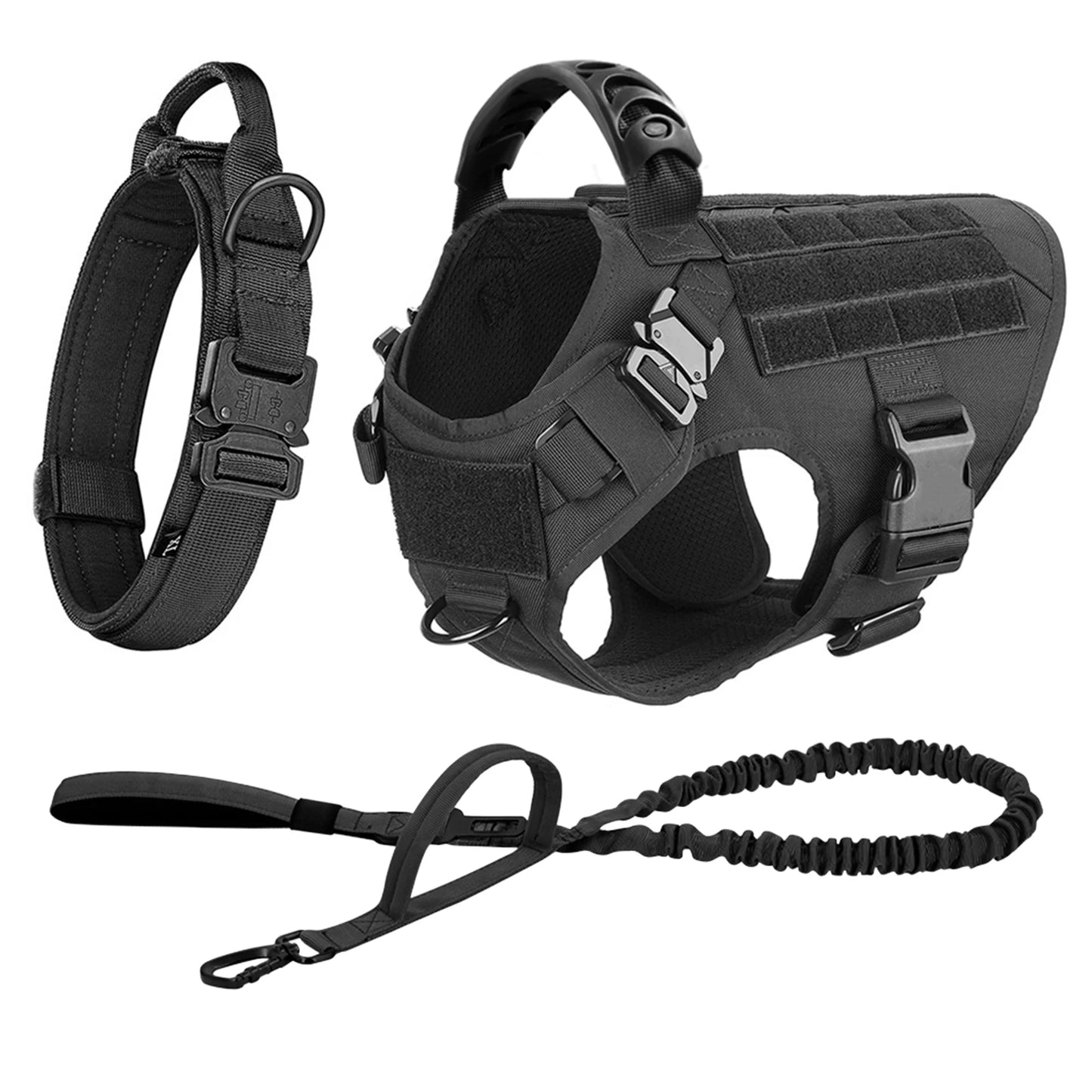 Nylon Dog Harness And Leash Set For Training And Walking