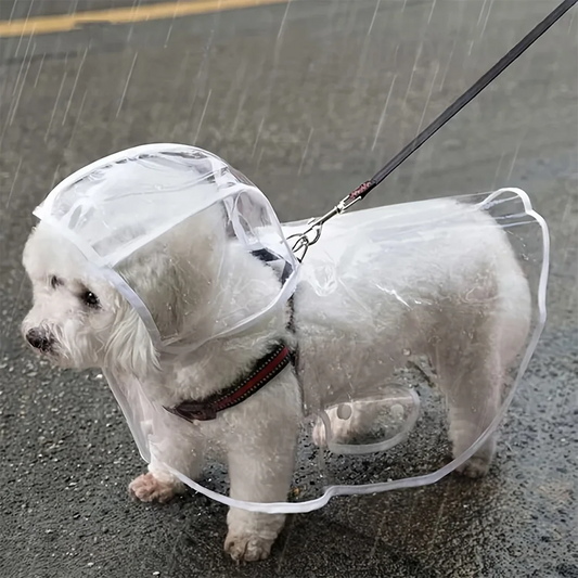 Transparent Waterproof Dog Raincoat For Small And Medium Breeds