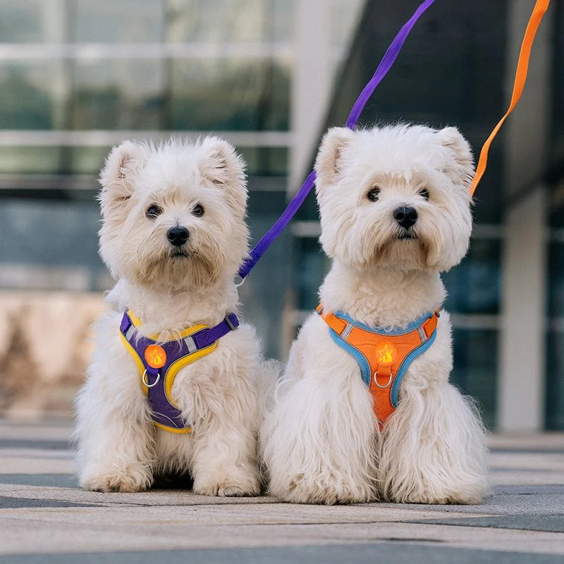 Reflective Mesh Dog Harness Vest For Small And Medium Breeds
