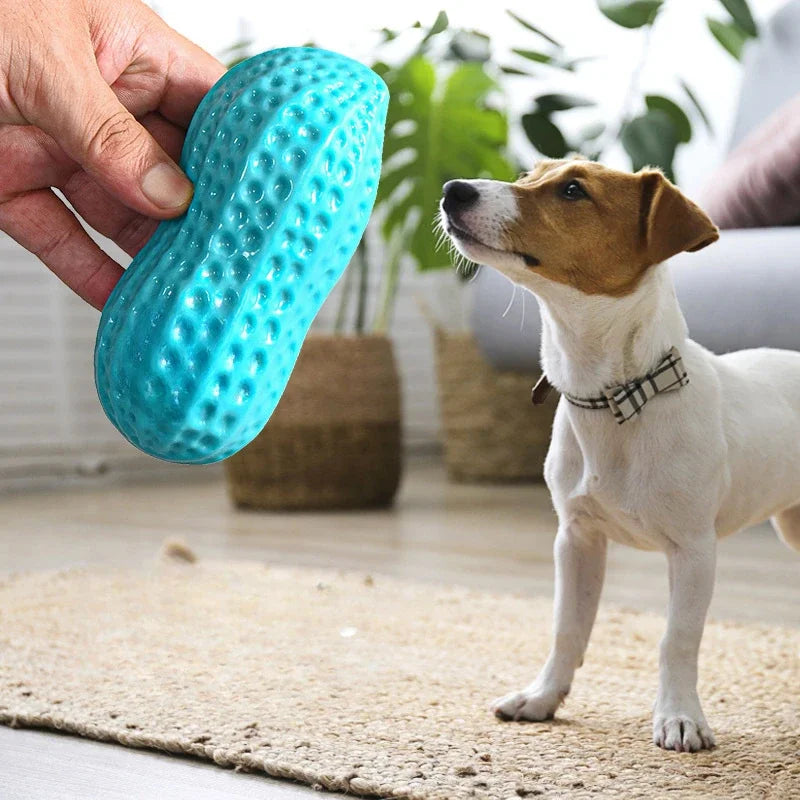 Peanut Shaped Squeaking Dog Chew Toy Interactive Rubber