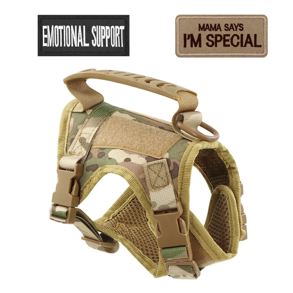 Safe Tactical Cat Harness Vest With Leash And Stickers