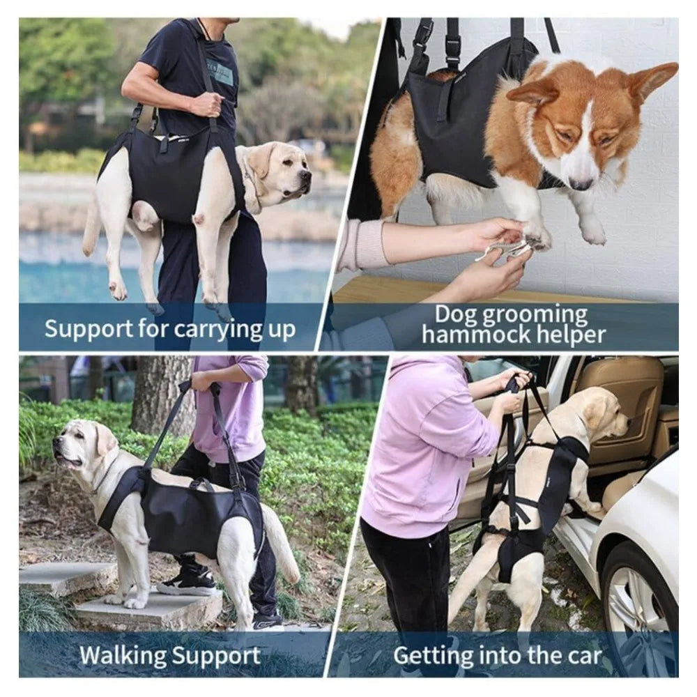 Full Body Support Recovery Suit For Dogs With Hip Dysplasia