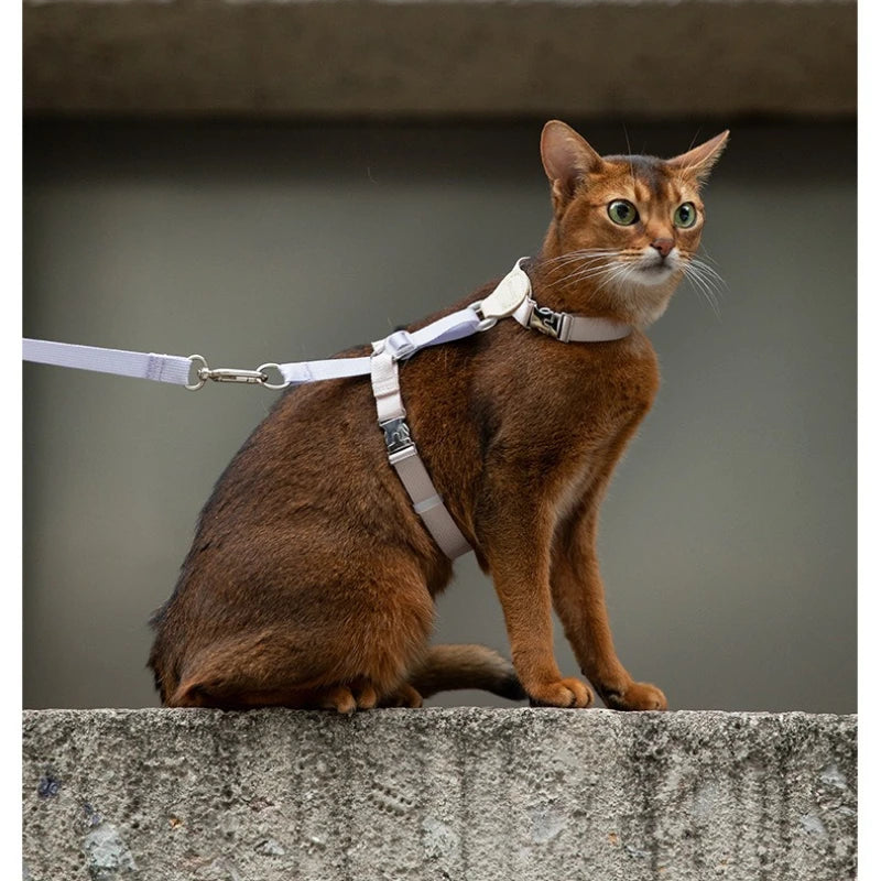 Escape Proof Cat Harness And Leash Set, Adjustable H-Style Vest