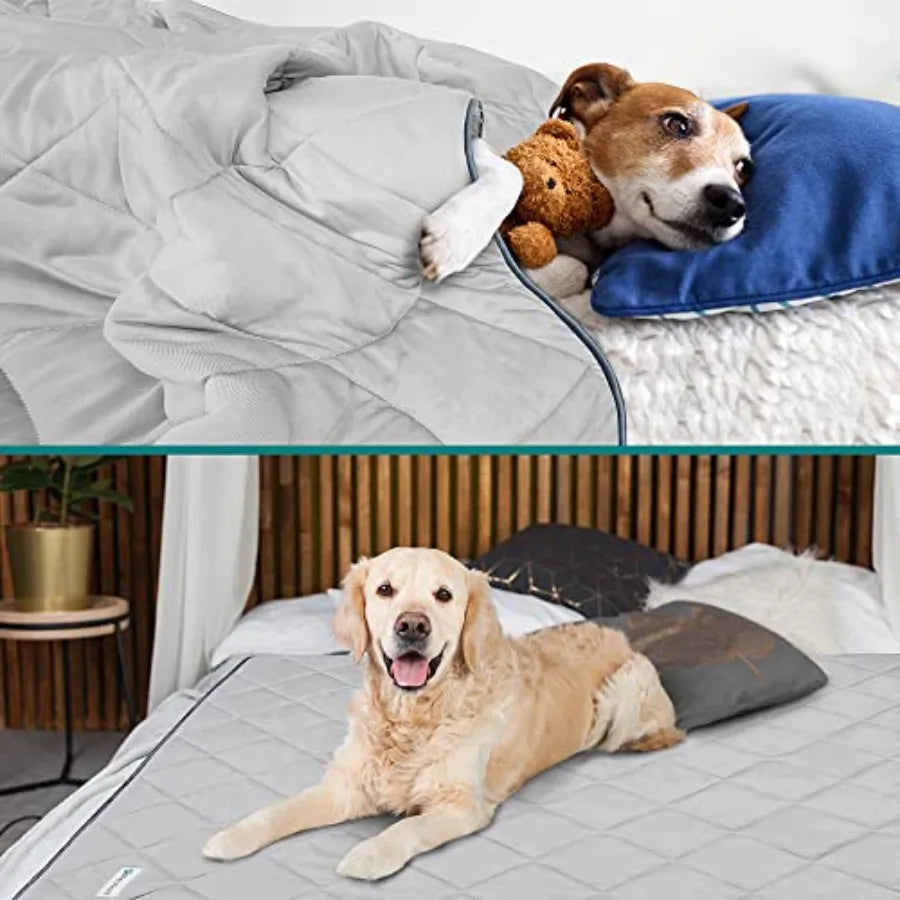 Premium Cooling Dog Blanket Lightweight Fluffy Pet Throw Bed Cover