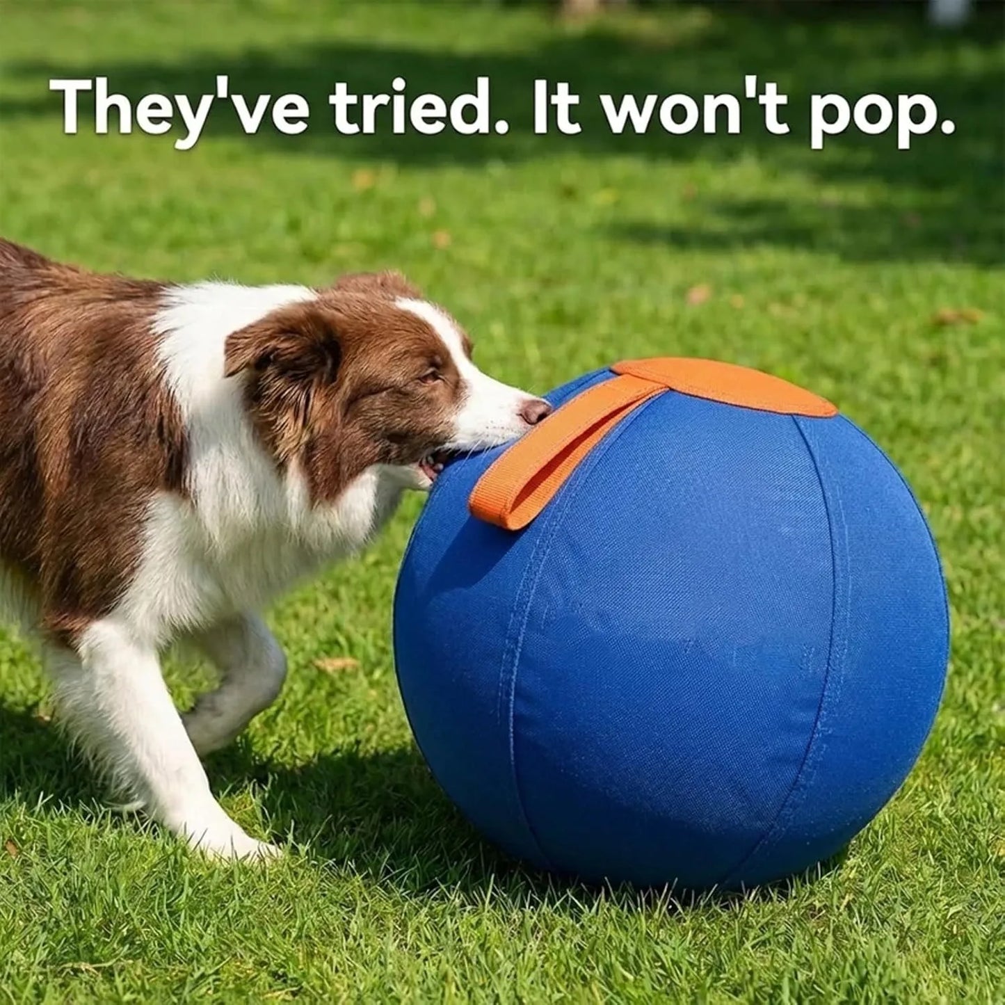 Ruckus Herding Ball For Dogs Enrichment Tear-Resistant
