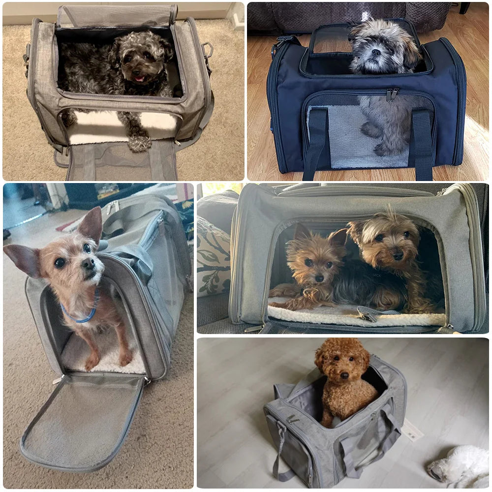 Soft-Sided Dog Carrier Backpack For Small Pets Airline Approved