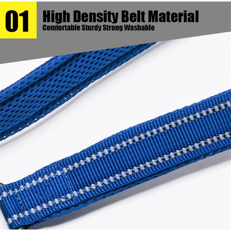 TRUELOVE Reflective Padded Nylon Pet Leash For Dogs And Cats