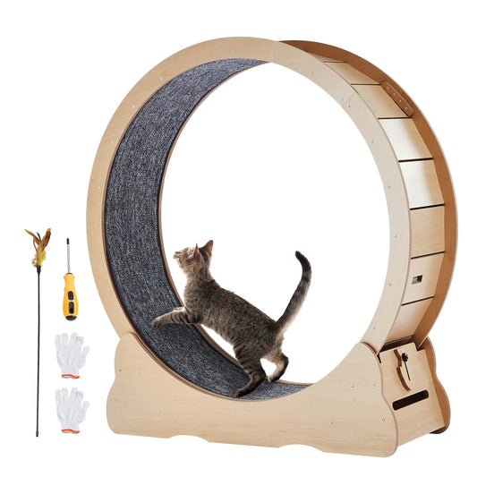 Wooden Cat Exercise Wheel For Indoor Cats With Detachable Carpet